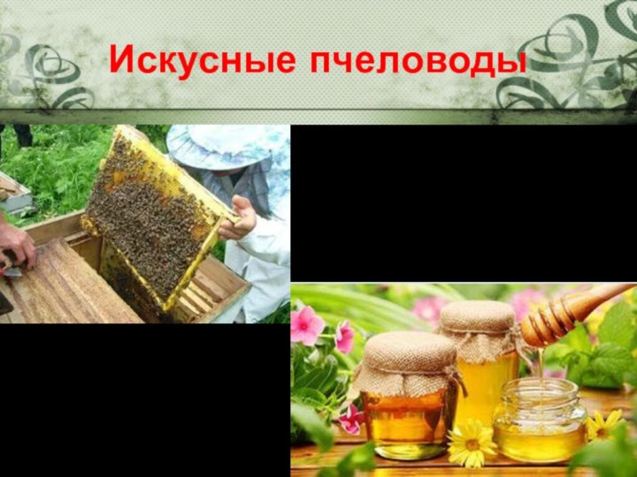 Искусные пчеловоды
