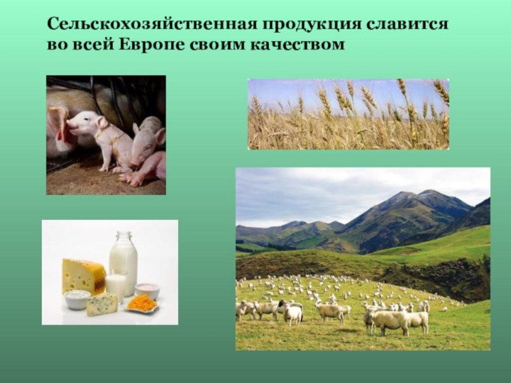 Сельскохозяйственная продукция славится во всей Европе своим качеством