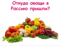 Откуда овощи пришли в Россию презентация к уроку