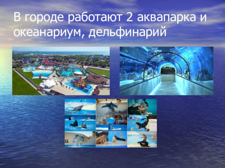В городе работают 2 аквапарка и океанариум, дельфинарий