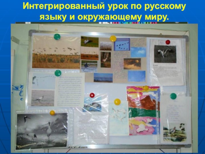 Интегрированный урок по русскому языку и окружающему миру.