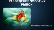 Презентация Золотые рыбки презентация к уроку по окружающему миру