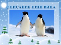 Презентация. Описание пингвина презентация к уроку по русскому языку (2 класс)