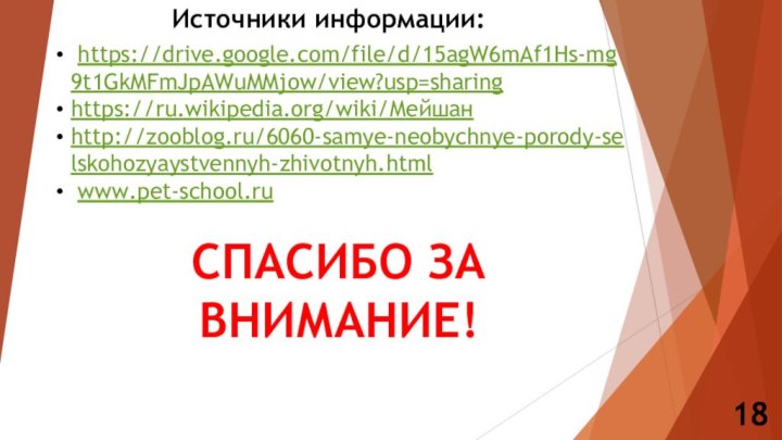 18 https://drive.google.com/file/d/15agW6mAf1Hs-mg9t1GkMFmJpAWuMMjow/view?usp=sharinghttps://ru.wikipedia.org/wiki/Мейшанhttp://zooblog.ru/6060-samye-neobychnye-porody-selskohozyaystvennyh-zhivotnyh.html www.pet-school.ruСПАСИБО ЗА ВНИМАНИЕ!Источники информации: