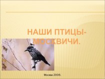 nashi pticy - moskvichi