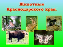 Открытый урок по кубановедению Животные Краснодарского края план-конспект урока (2 класс)