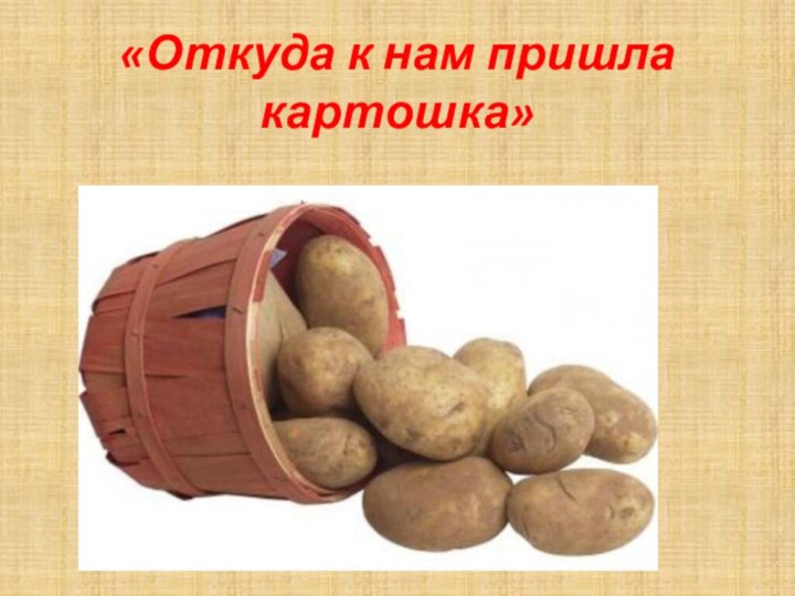 «Откуда к нам пришла картошка»