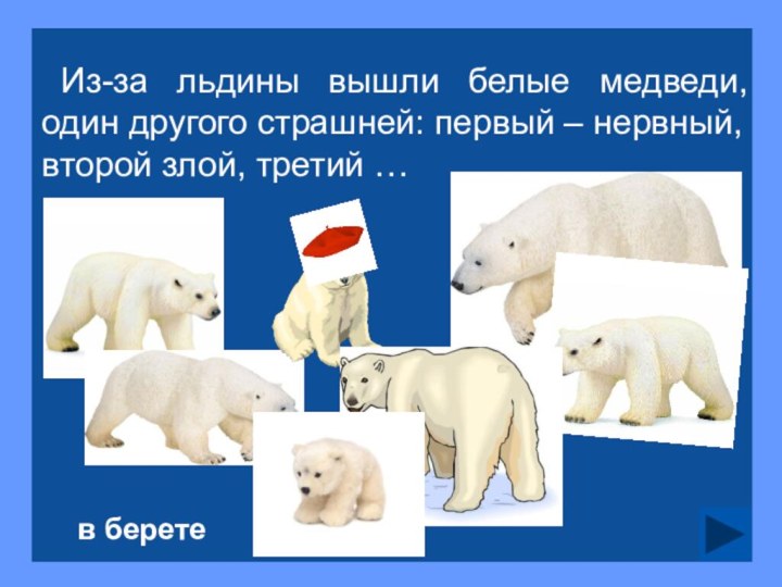 Из-за  льдины  вышли  белые  медведи, один другого