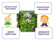 Игра Классификация растений и животных презентация к уроку