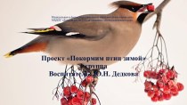 Проект  Накормим птиц зимой проект (младшая группа)