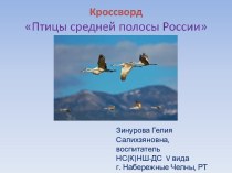 Кроссворд Птицы средней полосы России презентация к занятию по окружающему миру (старшая группа) по теме