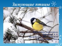 Презентация к НОД Зимующие птицы презентация по окружающему миру
