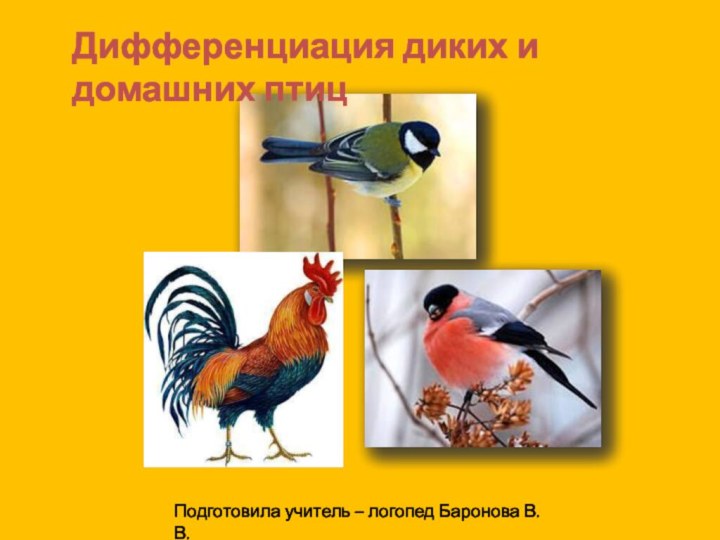 Дифференциация диких и домашних птицПодготовила учитель – логопед Баронова В.В.