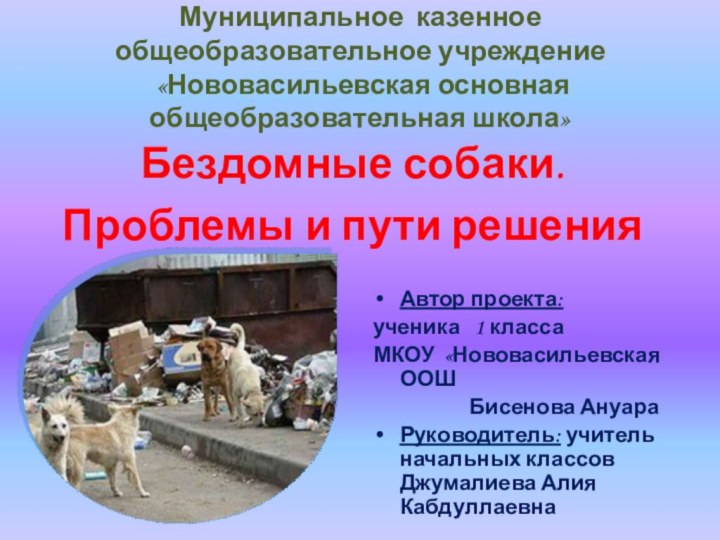 Муниципальное казенное общеобразовательное учреждение  «Нововасильевская основная общеобразовательная школа» Бездомные собаки. Проблемы