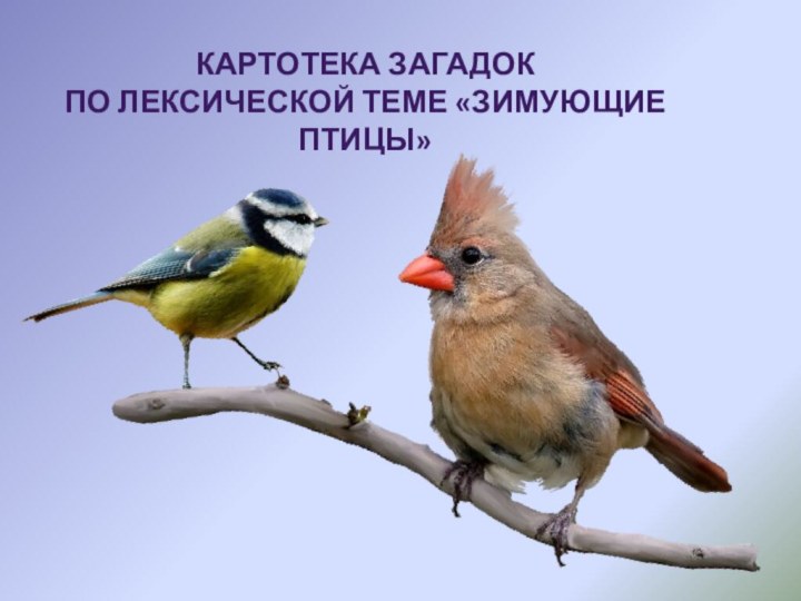 Картотека загадок по лексической теме «Зимующие птицы»