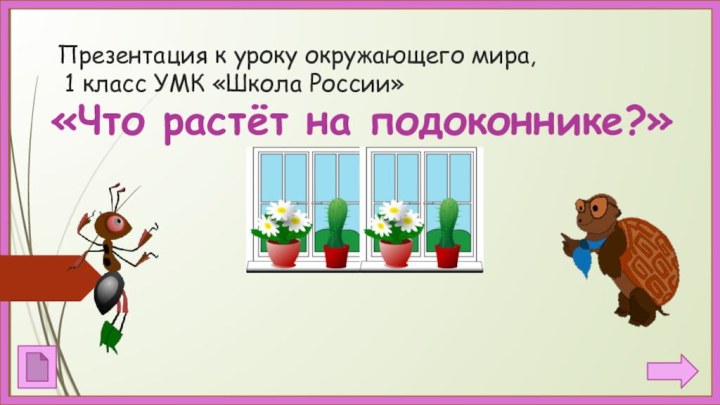 Презентация к уроку окружающего мира,  1 класс УМК «Школа России»«Что растёт на подоконнике?»