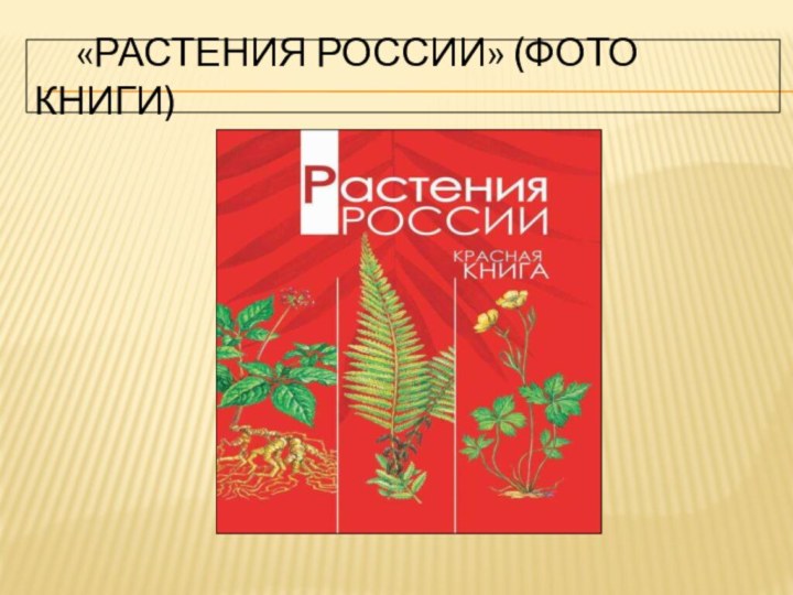 «растения россии» (ФОТО КНИГИ)