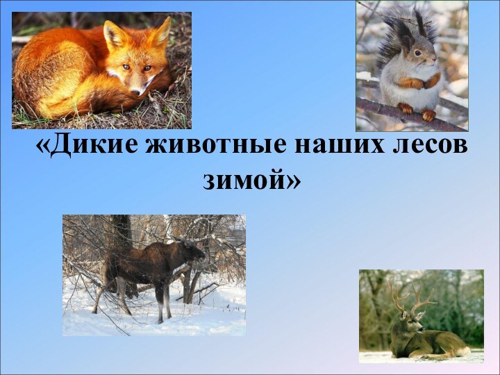 «Дикие животные наших лесов зимой»