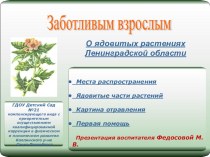 Презентация для родителей. Ядовитые растения Ленинградской области. консультация
