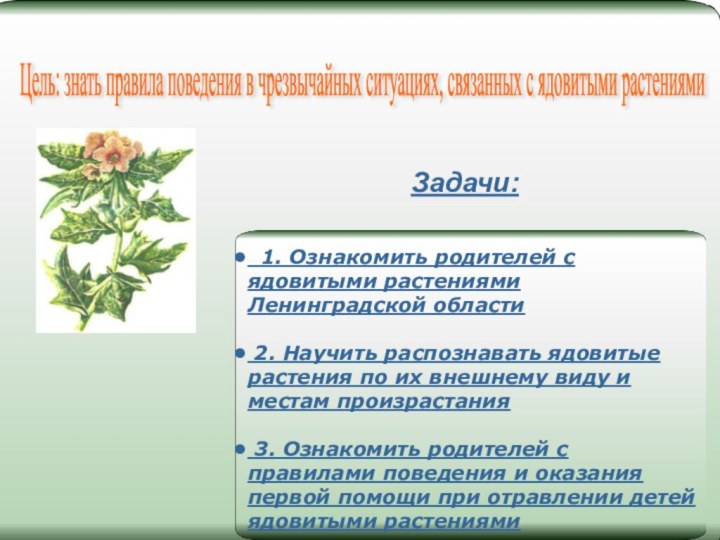 Задачи: 1. Ознакомить родителей с ядовитыми растениями Ленинградской области 2. Научить распознавать