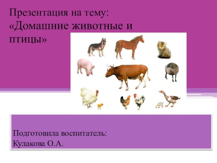 Подготовила воспитатель: Кулакова О.А.Презентация на тему:«Домашние животные и птицы»