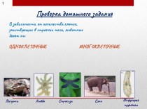 Презентация к уроку по теме: Животные - живые существа презентация к уроку по окружающему миру (3 класс) по теме