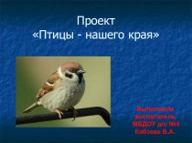 Проект Птицы - нашего края презентация к уроку по окружающему миру (старшая группа)