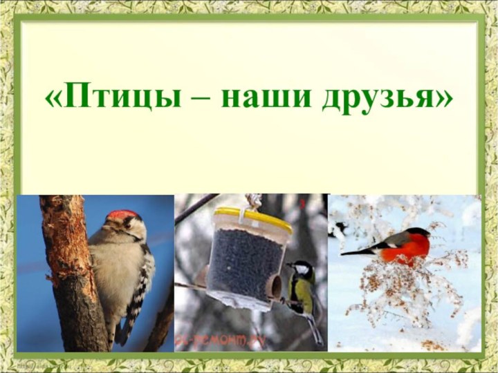 «Птицы – наши друзья»