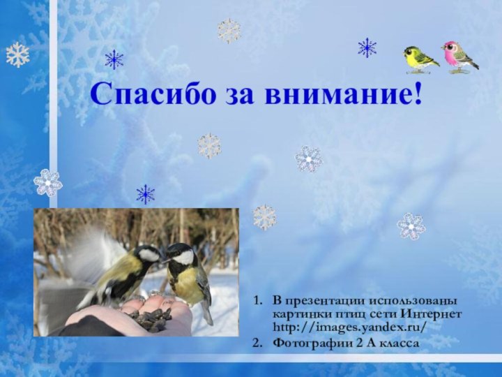 Спасибо за внимание!В презентации использованы картинки птиц сети Интернет http://images.yandex.ru/Фотографии 2 А класса