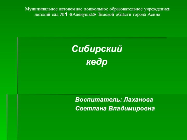 Муниципальное автономное дошкольное образовательное учреждение: детский сад №1 «Алёнушка» Томской области города