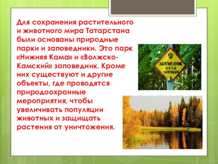 Для сохранения растительного и животного мира Татарстана были основаны природные парки и