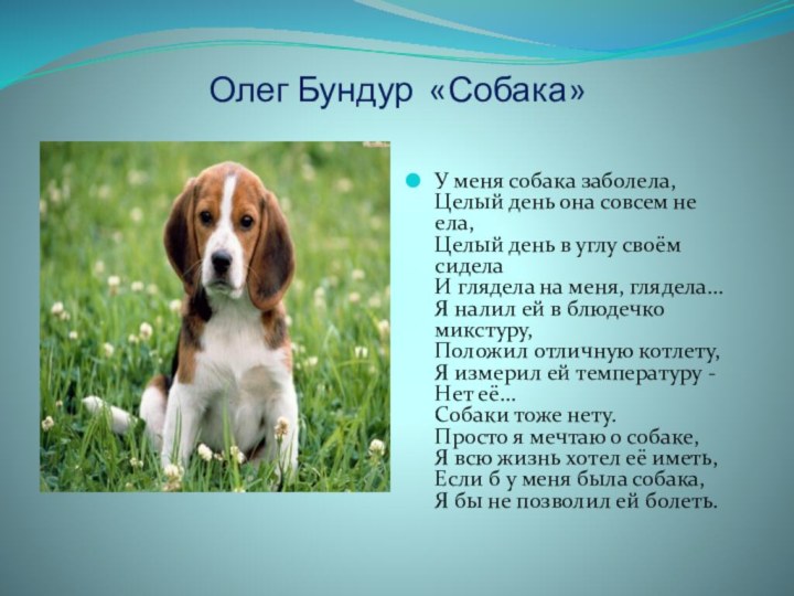 Олег Бундур «Собака»У меня собака заболела,  Целый день она совсем не ела, 