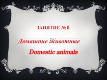 Domestic Animals презентация к уроку (старшая, подготовительная группа)