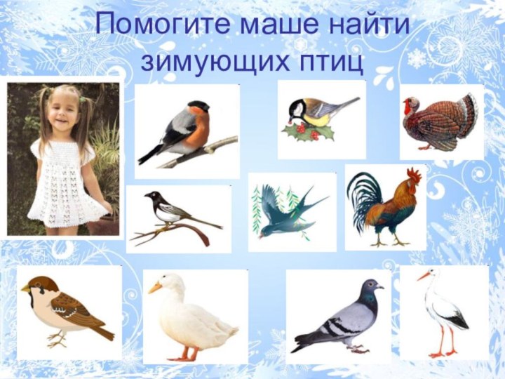 Помогите маше найти зимующих птиц