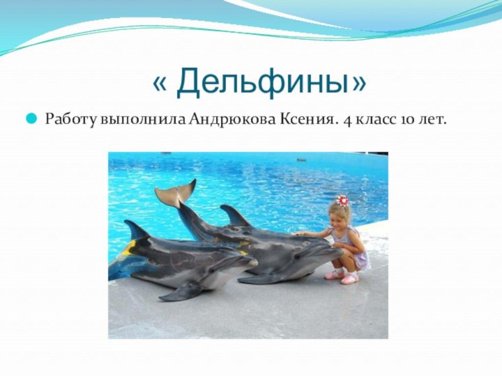 « Дельфины»Работу выполнила Андрюкова