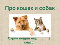 Урок окружающего мира Про кошек и собак 2 класс. план-конспект урока по окружающему миру (2 класс)