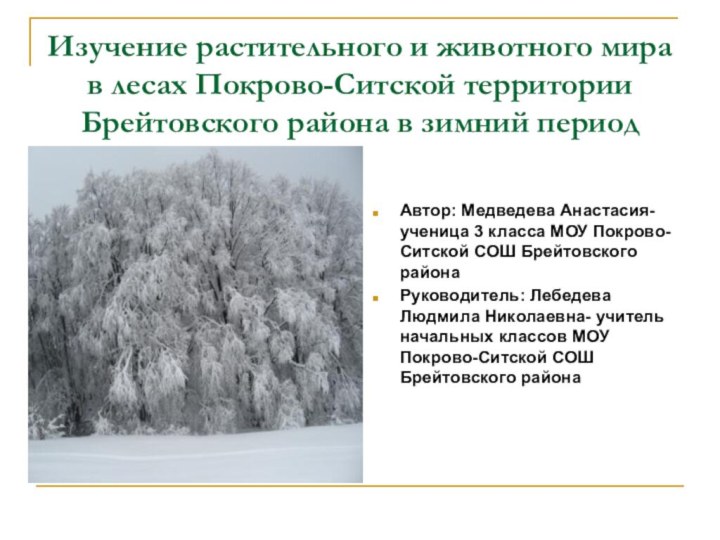 Изучение растительного и животного мира в лесах Покрово-Ситской территории Брейтовского района в