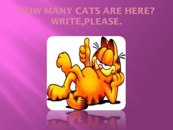 HOW MANY CATS ARE HERE? WRITE,PLEASE.