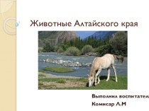 Животный Алтайского края презентация урока для интерактивной доски (старшая группа)