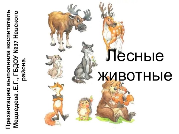 Презентацию выполнила воспитатель Медведева .Е.Г., ГБДОУ №37 Невского района. Лесные животные