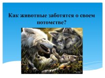 Презентация Как животные заботятся о своём потомстве презентация к занятию по окружающему миру (подготовительная группа) по теме