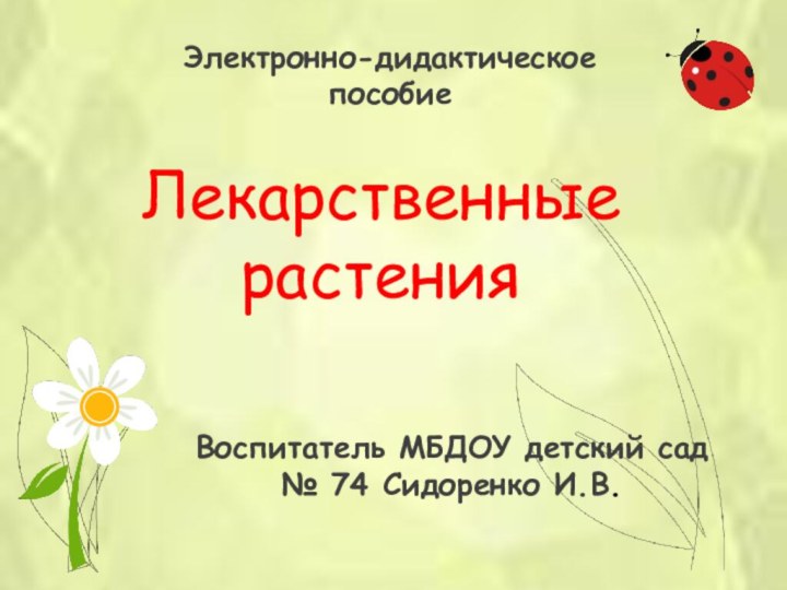 Лекарственные  растенияВоспитатель МБДОУ детский сад № 74 Сидоренко И.В.Электронно-дидактическое пособие