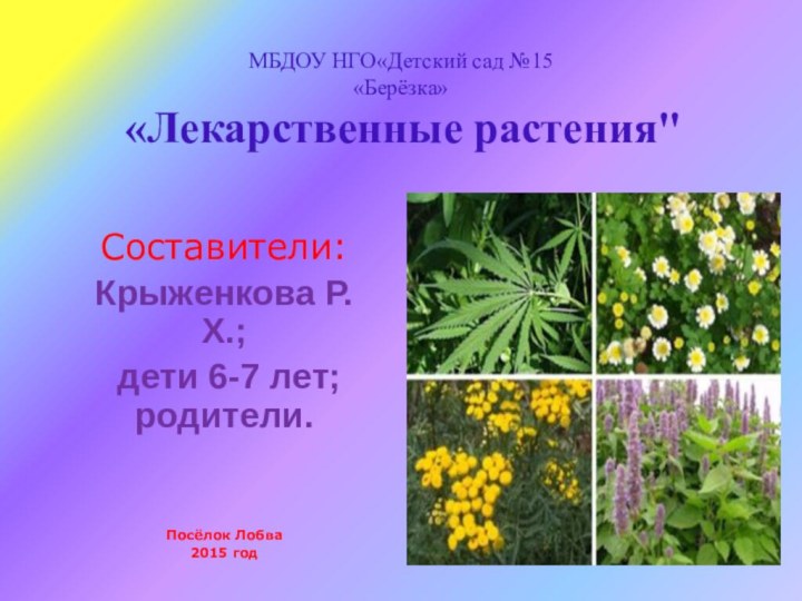 МБДОУ НГО«Детский сад №15  «Берёзка»  «Лекарственные растения