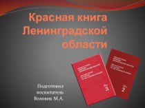Красная книга Ленинградской области статья по окружающему миру