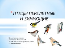 Птицы зимующие и перелетные презентация к уроку по окружающему миру (средняя группа)