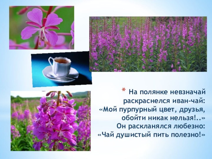 На полянке невзначай раскраснелся иван-чай: «Мой пурпурный цвет, друзья, обойти никак нельзя!..»