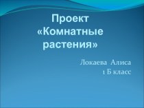 Комнатные растения_ЛокаеваА16.04.11 творческая работа учащихся (1 класс) по теме