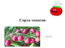 Сорта томатов презентация к уроку по технологии