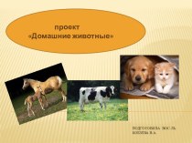 презентация- проект Домашние животные презентация к уроку (младшая группа)