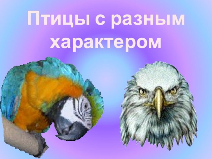 Птицы с разным характером